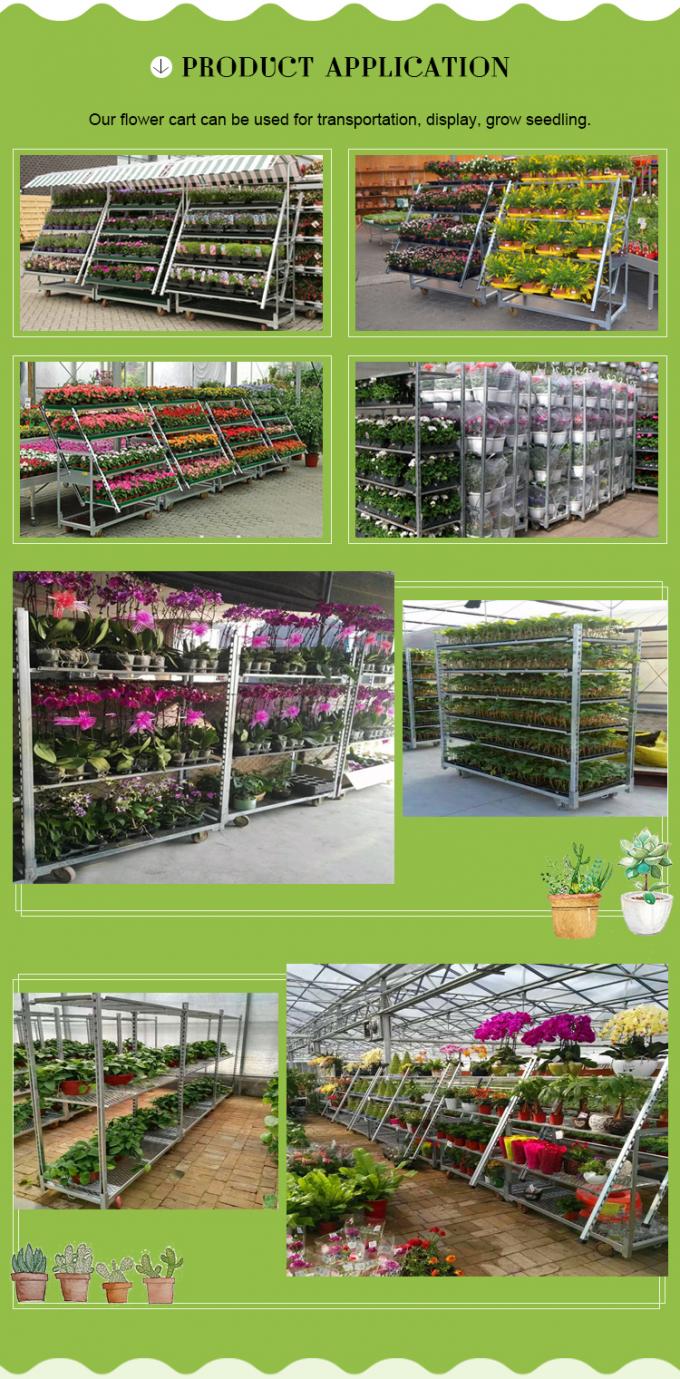 Hot Galvanized Greenhouse Carts Flower Trolley Danish Trolley Racks
