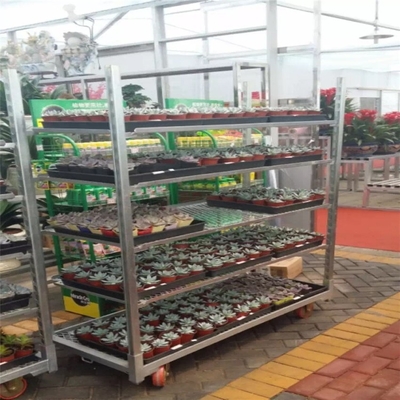 Hot Dip Galvanized Plywood Material Flower Trolley Heavy Wheel Easy To Install