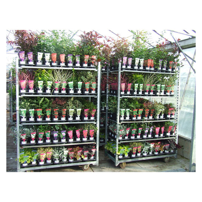 Professional Flower Nursery Display Danish Trolley Cart In Greenhouse