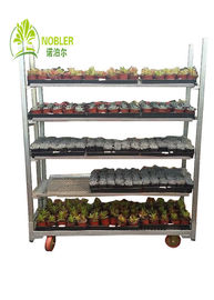 Pull Net Shelf Dutch Flower Trolley For Storage Nursery Display