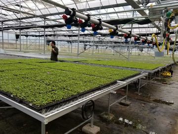 Rolling Wire Greenhouse Growing Beds