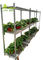 Hot Galvanized Greenhouse Carts Flower Trolley Danish Trolley Racks