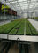 Hydroponic Trays Seedling Greenhouse Grow Beds For Plants Seedbed / Vegetable