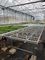 Hot Dip Galvanized Greenhouse Planting Beds