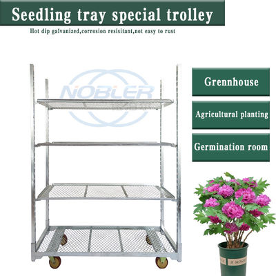 50kg Handle Load Capacity Flower Trolley Including Metal Sheet Shelf Ideal Choice for Handling and Moving Flower Products