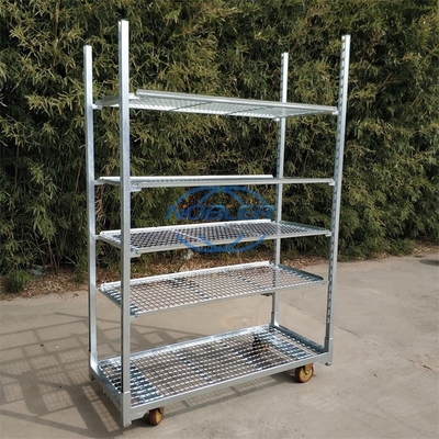 Greenhouse Standard Hole Plate Special Seedling Trolley Urge Bud Trolley Flower Trolley