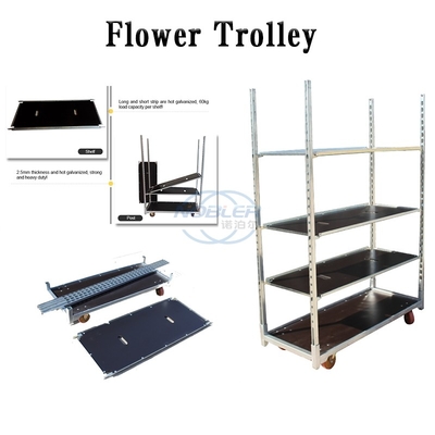 Plywood Container 4 Wheel Folded Flower Trolley Flowers Logistics Turnover