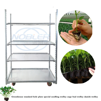 Convenient Assembly Danish Plant Trolley For Smooth Flower Handling
