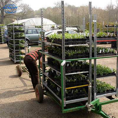 Standard Container 1350 * 565 * 1900mm Plywood Flower Trolley Convenient Storage