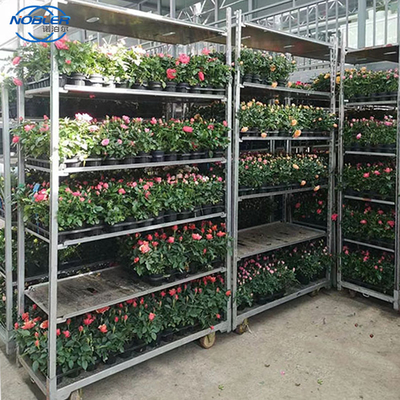 Standard Container 1350 * 565 * 1900mm Plywood Flower Trolley Convenient Storage