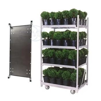 Versatile Easy Assemble Dutch Flower Trolley With Metal Frame 1350*565*1900cm