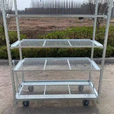 400kg Load Capacity Flower Trolley Versatile Cart Equipped with 25cm Shelf Height Supporting Heavy Loads in Horticulture