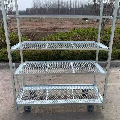 Hot Dip Galvanizing PP Caster 1350*565mm Agricultural Planting Flower Cart Danish Trolleys for Greenhouse Harvest Trolley