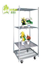 Flower And Plant Trolleys Cc Container , Galvanized Flower Dutch Trolley Carts