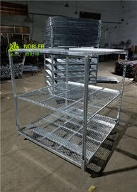 Greenhouse Plant Trolleys Japan Garden Center Welded Wire Flower Racks Cart