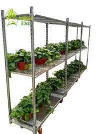 Dutch Cart Danish Container Vegetbable Plants Nursery Growing Trolley