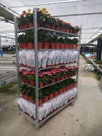 TC0131 Danish Trolley Shelves Horticultural Sector Flower Steel Roll