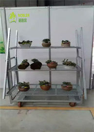 Metal Sheet Flower Trolley Size 1350*565*1900 Hot Dip Galvanizing Not Easy Rust