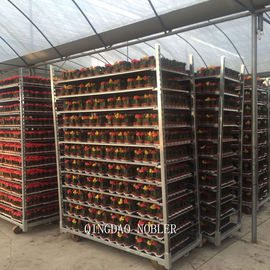Flower Logistics Turnover Standard Danish Container Metal Mesh Material Flower Trolley