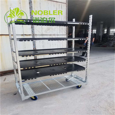 Metal Plate Dutch Flower Trolley Powder Painted With PP Casters