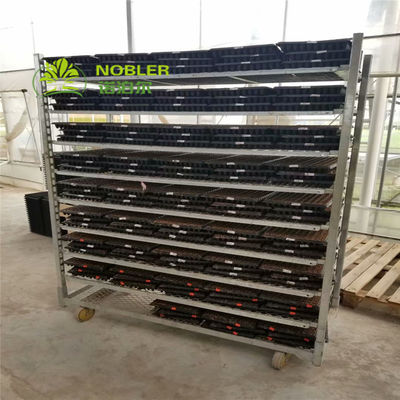 Flower Frame Seedling Cart Danish Plant Trolley Hot Galvanizing