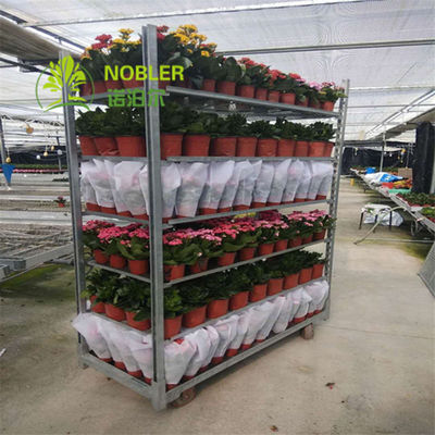 Customized Hot Galvanized Plywood Danish Flower Trolley For Transport
