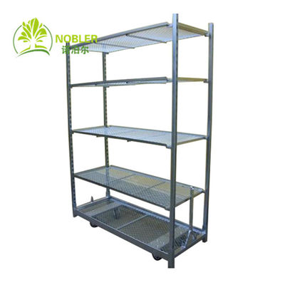 Flower Frame Seedling Cart Danish Plant Trolley Hot Galvanizing