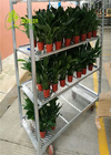 danish flower trolley cc container from china manufacture