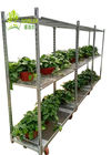 DC Trolley Danish Container Dutch Trolley Display Cart For Plants