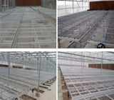 Rolling Wire Greenhouse Growing Beds