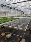Hot Dip Galvanized Greenhouse Planting Beds