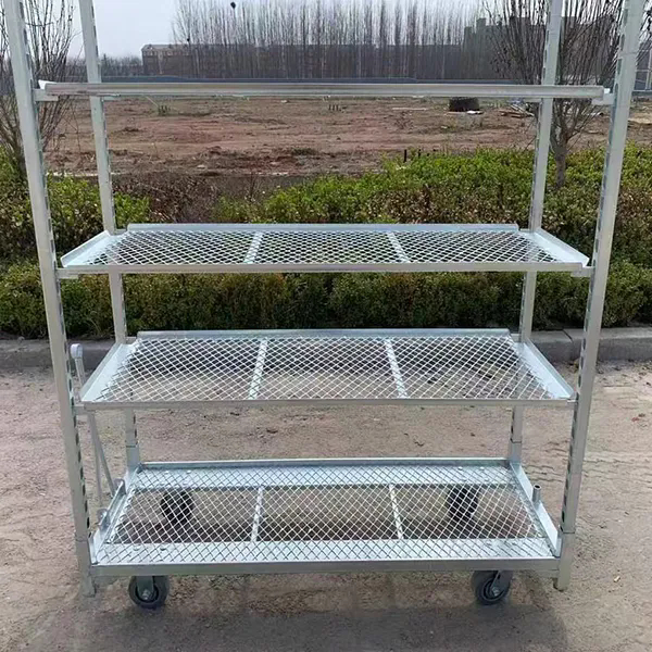 Hot Dip Galvanizing PP Caster 1350*565mm Agricultural Planting Flower Cart Danish Trolleys for Greenhouse Harvest Trolley