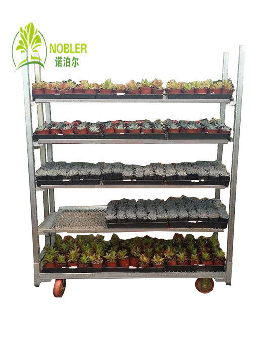 Dutch Plant And Flower Display Cart Greenhouse Nursery Transport Trolleys