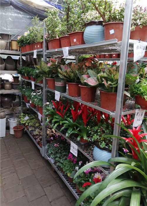 3 Tier Danish Supermarket Shelving With 1.8x1800mm Post And 4 Swivel Castors