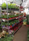 Danish Trolley Flower hand trolley Plastic Shelf Supermarket Exclusive Use Customized trolleys