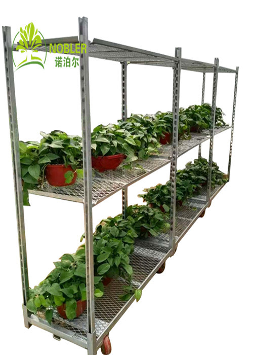 Hot Galvanized Greenhouse Carts Flower Trolley Danish Trolley Racks