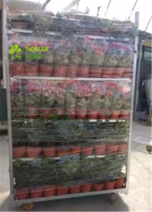 Flower CC Racks Danish Trolley / CC Container Shelves 40*48*72 Inch