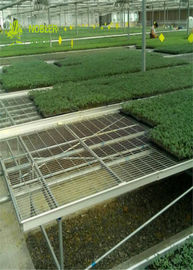 Large Wire Greenhouse Grow Beds And Tables / Garden Center Tables