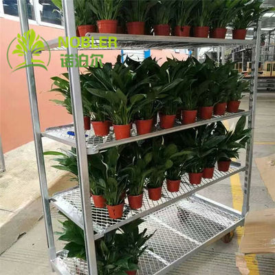 Q235 Dutch Trolley Shelves