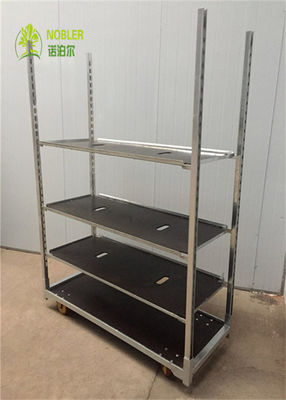 Plywood Shelf Dutch Flower Trolley Electro Galvanized 1900mm